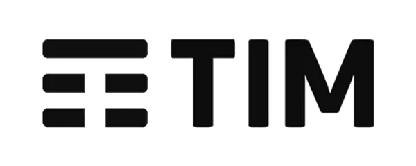 TIM Group